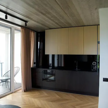 J. Ralio Apartamentai * 维尔纽斯