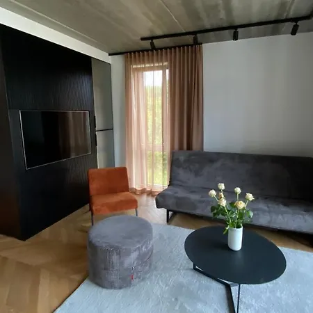 J. Ralio Apartamentai 公寓 维尔纽斯