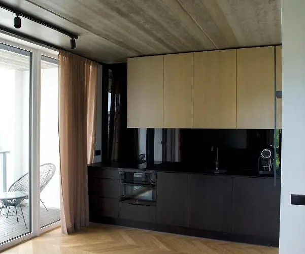 J. Ralio Apartamentai * 维尔纽斯